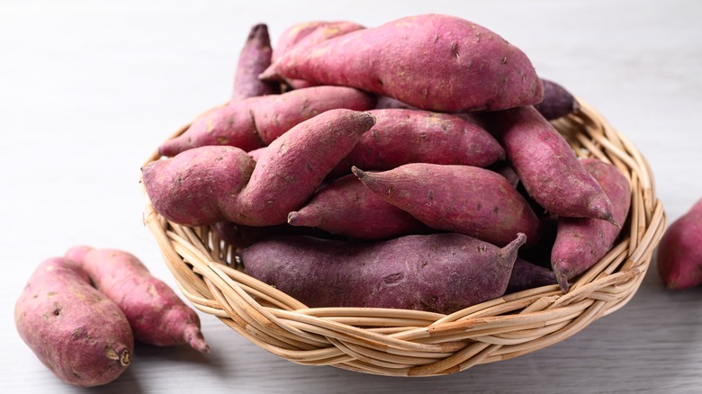 Sweet Potatoes Growing