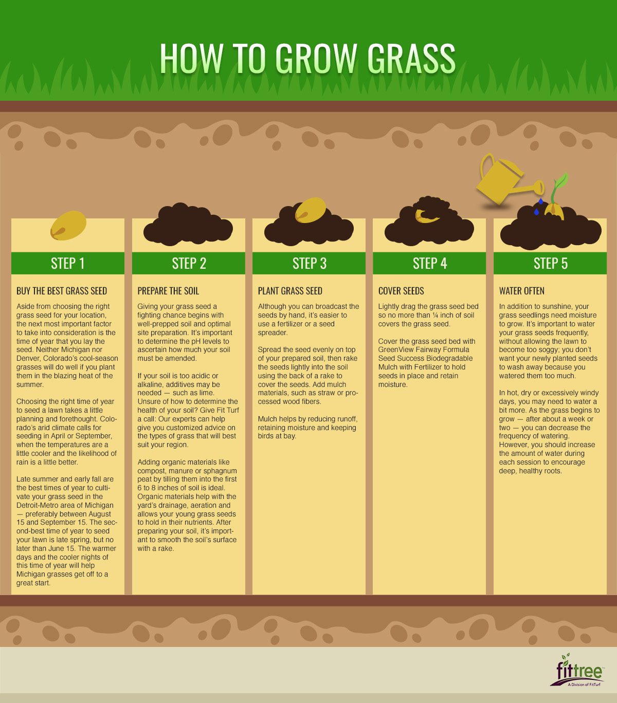 How to Grow Grass