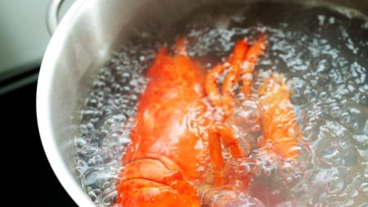 Essential Guide to How Long to Boil Lobster: Perfect Timing for 2025