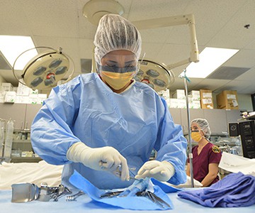 How to Become a Surgical Tech: Essential Steps for Success in 2025