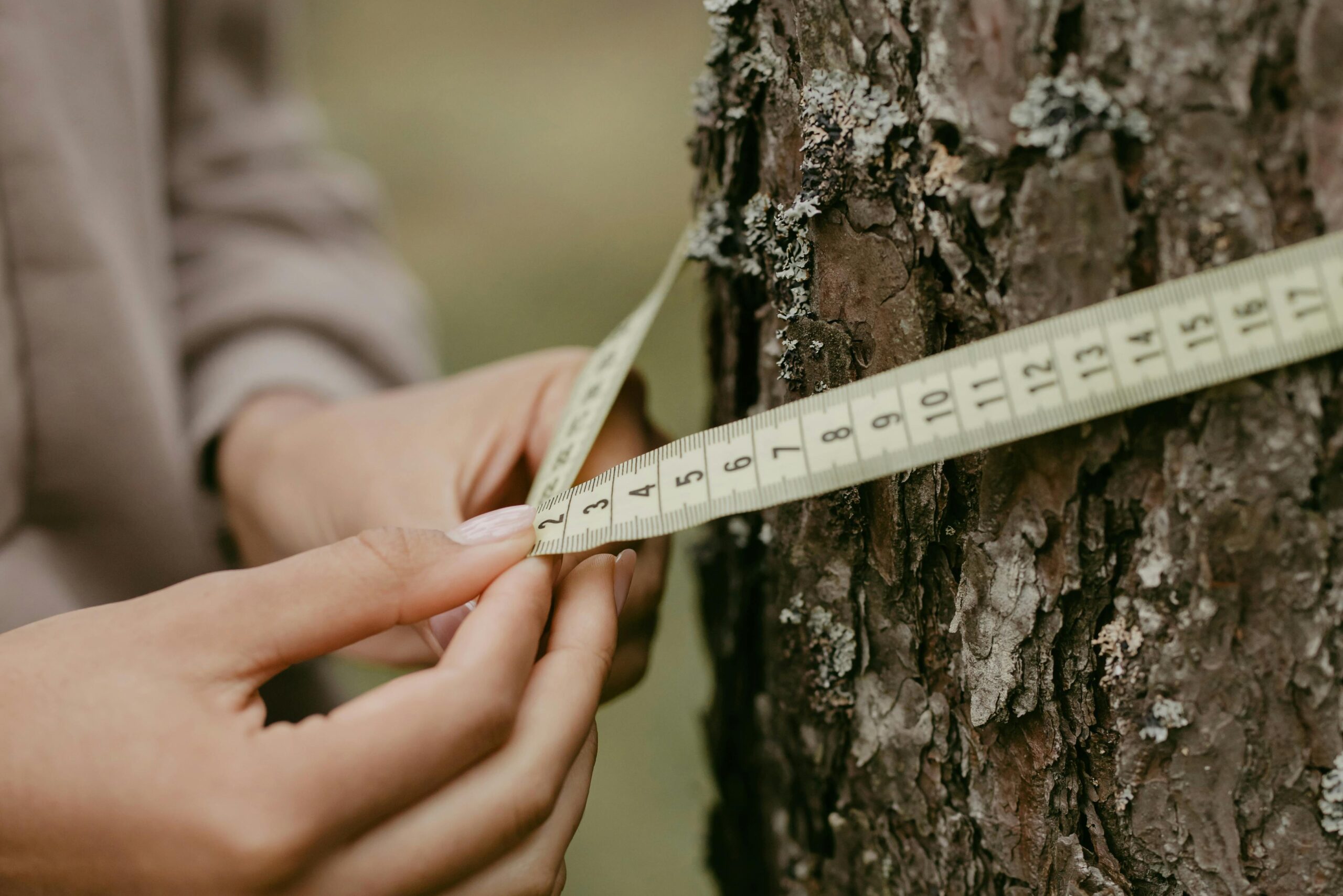 How to Easily Calculate the Circumference of a Circle with Diameter: Tips for 2025